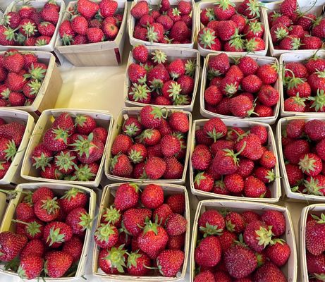 Ann Arbor Farmers Market by null