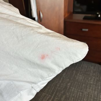 Courtyard by Marriott Dunn Loring Fairfax - Lipstick on the pillowcase - Hotels Near Me - Vienna, Virginia
