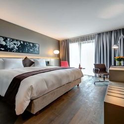 Modern Times Hotel - Double Room with Partial Lake View
