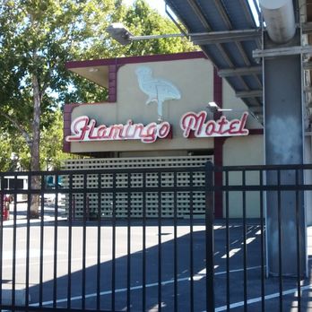 Flamingo Motel - Hotels Near Me - San Jose, California
