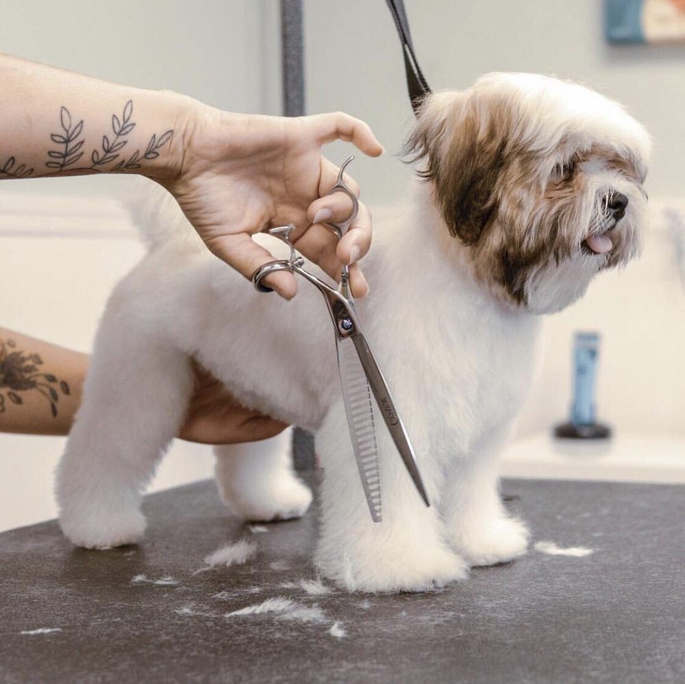 SHARP PERFECTION Updated August 2024 11 Photos & 19 Reviews Chula