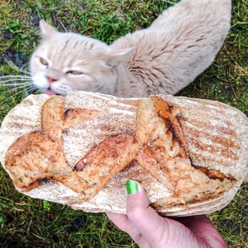 Café Tornhuset - värmdö levain inspektion, visade sig tyvärr inte vara brödet jag åt på lunchen och ville köpa, men helt okej, februari 2016 - Cafes Near Me - GUSTAVSBERG, Alberta Café Tornhuset - värmdö levain inspektion, visade sig tyvärr inte vara brödet jag åt på lunchen och ville köpa, men helt okej, februari 2016 - Cafes Near Me - GUSTAVSBERG, Alberta