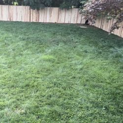 Live Green Landscape Associates