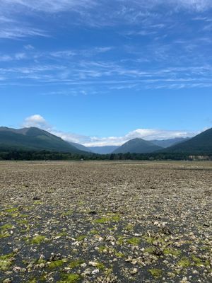 Dosewallips State Park by null