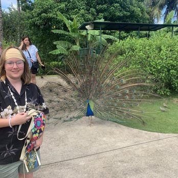 Smith's Family Garden Luau - Music Venues Near Me - Kapaa, Hawaii