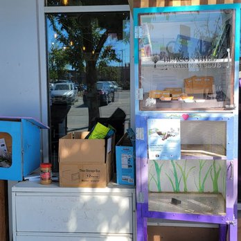 The Station - Community garden resources - Coffee & Tea Near Me - Seattle, Washington The Station - Community garden resources - Coffee & Tea Near Me - Seattle, Washington