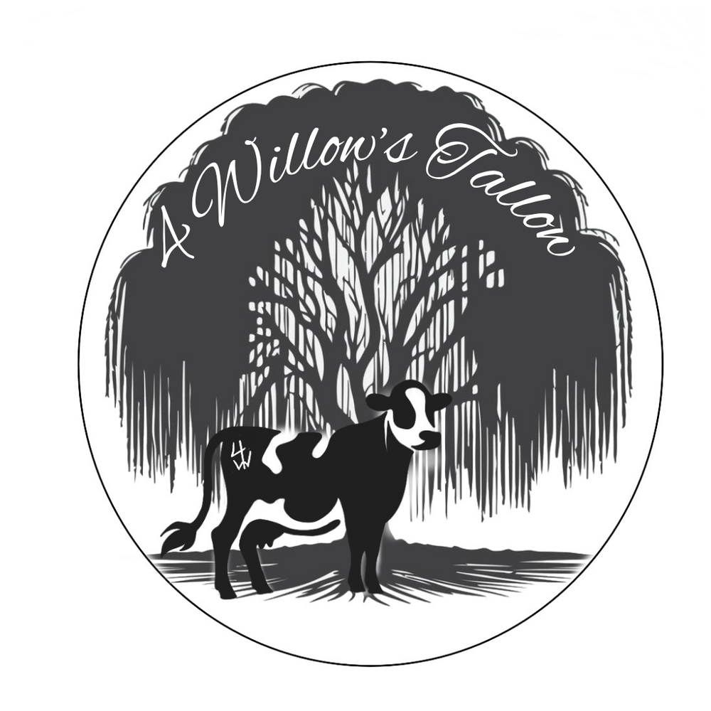 4 Willow’s Logo