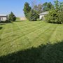 Photo of Milo's Lawn Care Services
