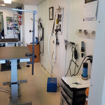 Petable Pet Grooming - Pet Groomers Near Me - Clackamas, Oregon