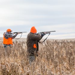 SDBC Hunting