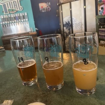 Tidal Brewing - Beer flight 2 - Breweries Near Me - Spring Hill, Florida