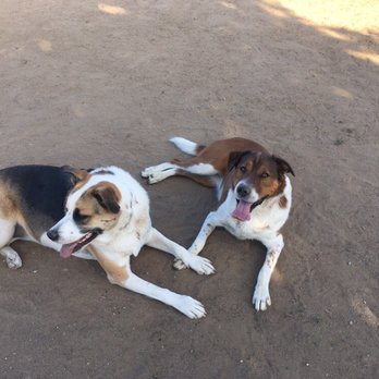 Morse Dog Park - Dog Parks Near Me - Elk Grove, California
