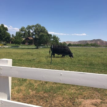 Spring Mountain Ranch State Park - Parks Near Me - Blue Diamond, Nevada