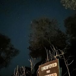 The Haunted Forest