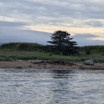Shelter Lodge - Fishing Near Me Shelter Lodge - Fishing Near Me