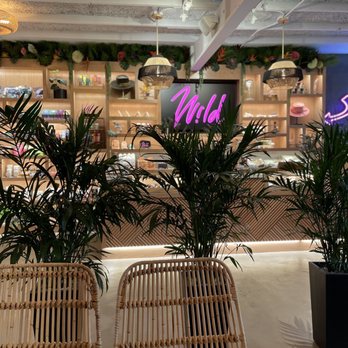 Wild - Awesome indoor decor and vibe - Coffee & Tea Near Me - Houston, Texas Wild - Awesome indoor decor and vibe - Coffee & Tea Near Me - Houston, Texas