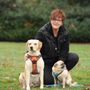Photo of DOLLY DOGS