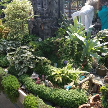 Telly's Greenhouse - Bonsai fairy garden - Nurseries & Gardening Near Me - Troy, Michigan Telly's Greenhouse - Bonsai fairy garden - Nurseries & Gardening Near Me - Troy, Michigan