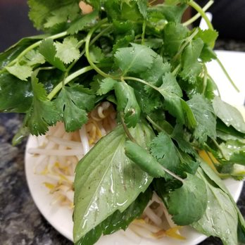 Pho 75 Restaurant - Fresh veggies!! - Vietnamese Near Me - Aurora, Colorado