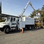 Photo of Semper Green Tree Service