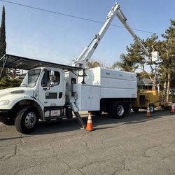 Semper Green Tree Service