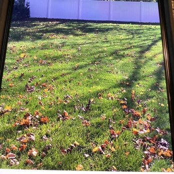 Monmouth Sod - a view of a yard from a phone - Lawn Services Near Me - Hazlet, New Jersey Monmouth Sod - a view of a yard from a phone - Lawn Services Near Me - Hazlet, New Jersey