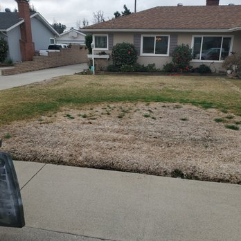 Morgan Landscaping - Before our drought landscaping - Landscaping Near Me - Covina, California Morgan Landscaping - Before our drought landscaping - Landscaping Near Me - Covina, California