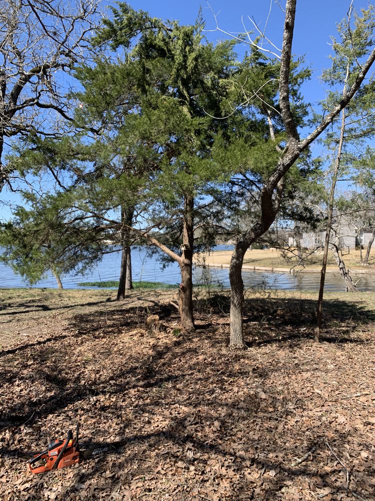 GRASS CHOPPERS PLUS Updated June 2024 25 Photos Bryan, Texas