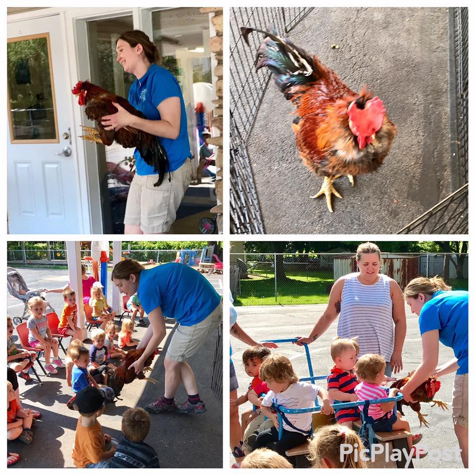 Innovative Playhouse - childcare center in Green Bay, WI