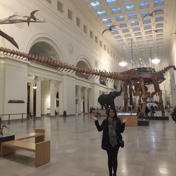 Field Museum - The "largest dinosaur in the world" (a replica) at the entrance of the museum - Museums Near Me - Chicago, Illinois
