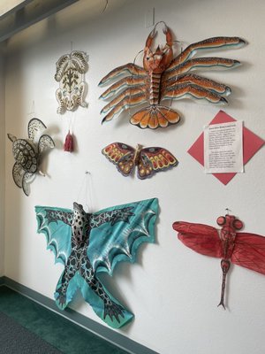 World Kite Museum & Hall-Fame by null