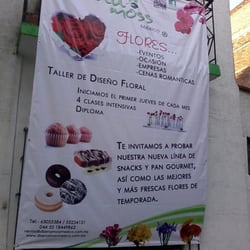 Los servicios que ofrecen