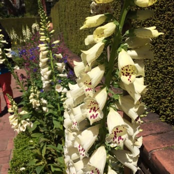 Filoli - Botanical Gardens Near Me - Woodside, California