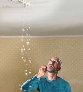 Slide of Mike's Septic Service