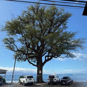 Coco Deck - View from Coco Deck - Mexican Near Me - Lahaina, Hawaii