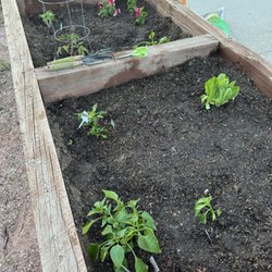 The Lofts at St Michael's - Community Gardens