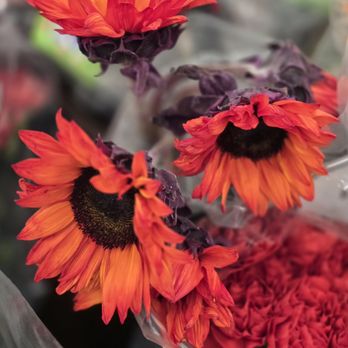 Albertsons - Floral dept - Grocery Near Me - Palm Desert, California