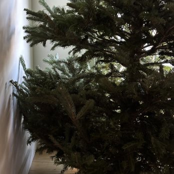 NYC Trees - Christmas Trees Near Me - New York, New York