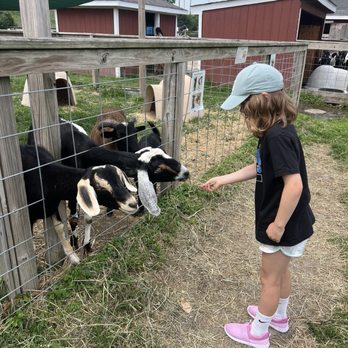 Lambs Farm - Amusement Parks Near Me - Libertyville, Illinois Lambs Farm - Amusement Parks Near Me - Libertyville, Illinois