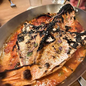 Marmo - Red snapper - Italian Near Me - Houston, Texas Marmo - Red snapper - Italian Near Me - Houston, Texas