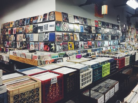 Vertical House Records by null