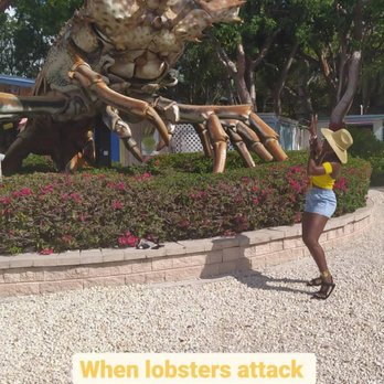 Lobster Shack - Betsy - Seafood Near Me - Islamorada, Florida Lobster Shack - Betsy - Seafood Near Me - Islamorada, Florida