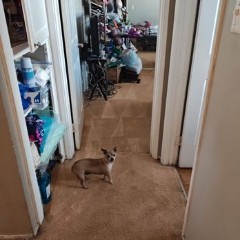 Dave's Carpet Cleaning Service - Carpet Cleaning Near Me Dave's Carpet Cleaning Service - Carpet Cleaning Near Me