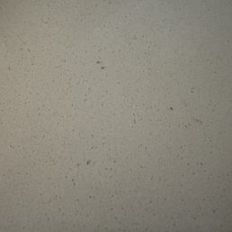 Ants Ants