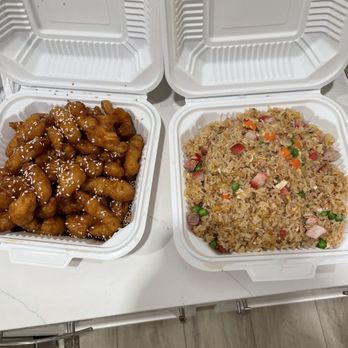 Tasty Gourmet - Sesame Chicken, BBQ Pork Fried Rice - Cantonese Near Me - Davis, California