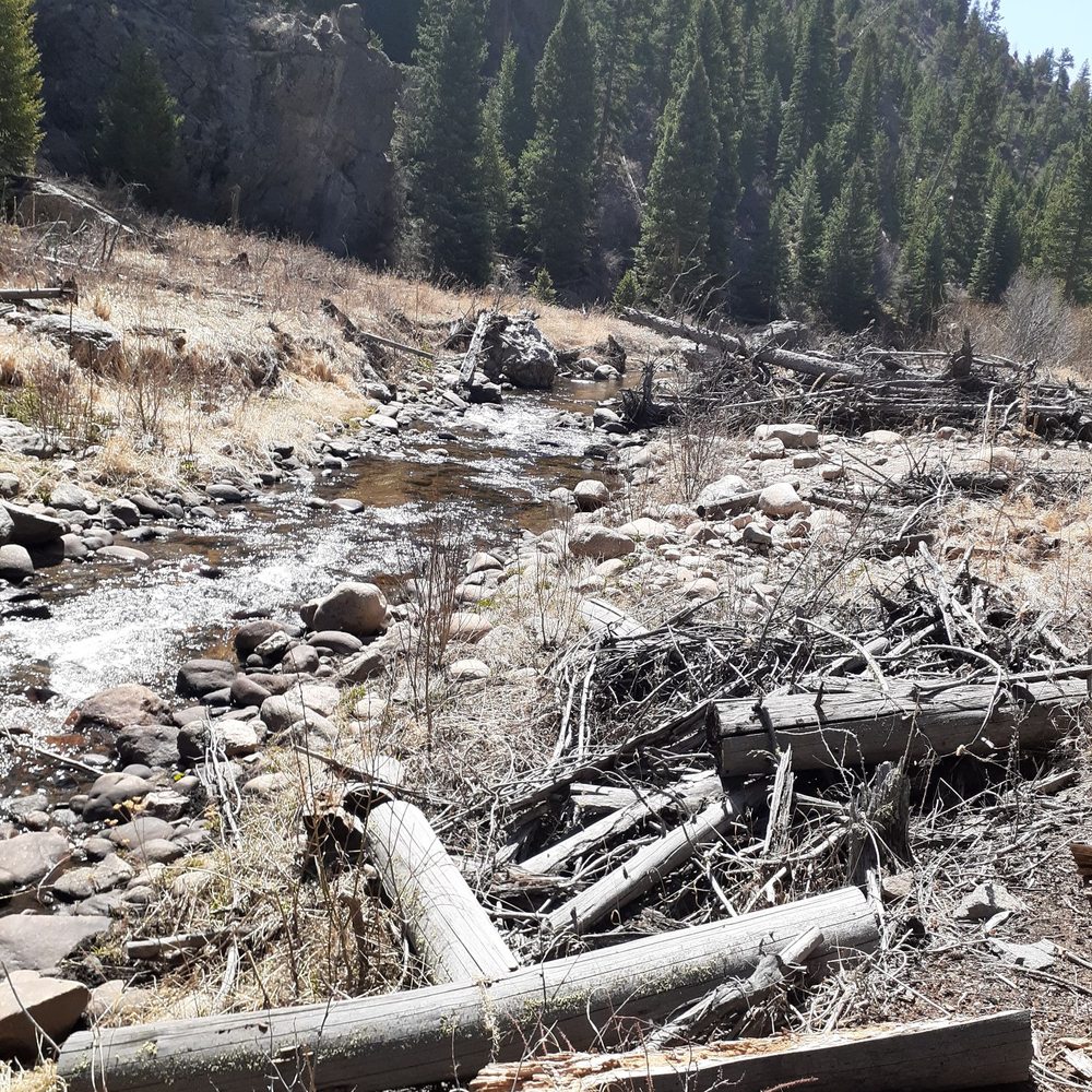Dunraven Trailhead - Hiking Near Me - Drake, Colorado