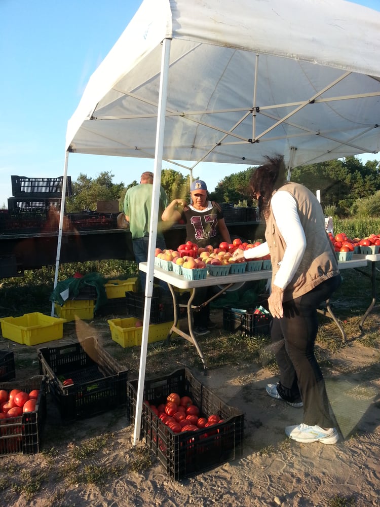 Farm Stand Logo