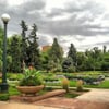 Alamo Placita Park gift card