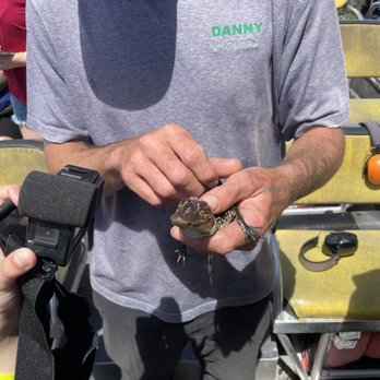 Ultimate Swamp Adventures - Danny let us hold a baby - Tours Near Me - Westwego, Louisiana Ultimate Swamp Adventures - Danny let us hold a baby - Tours Near Me - Westwego, Louisiana