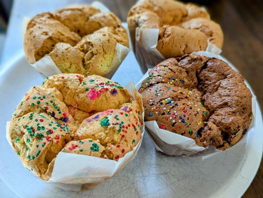 Spongies Cafe by null